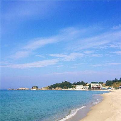 末日丧尸生存测试题下载