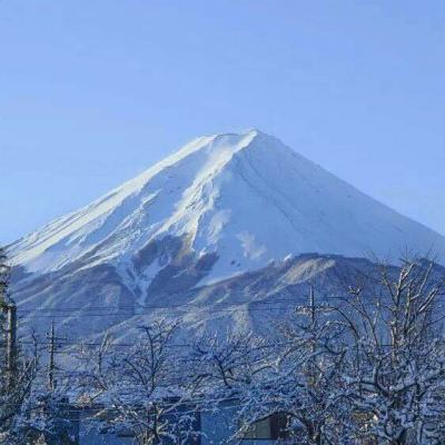 古代战争oppo客户端下载